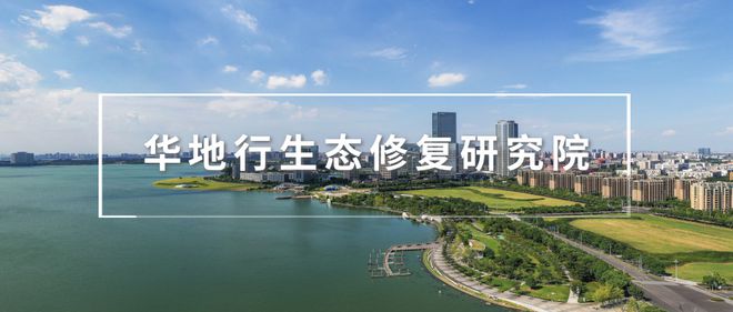 365体育（bet）：研究｜2024将全面开展城市体检如何推动系统治理“城市病”(图1)