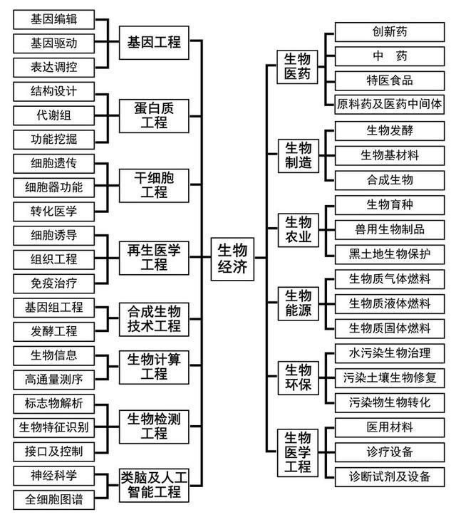 365体育唯一入口：2024年黑龙江重点产业规划布局全景图谱(图5)