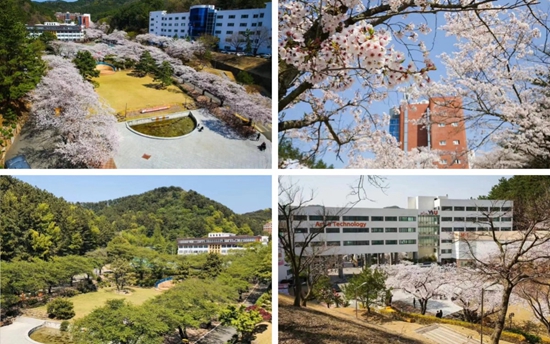 365体育唯一入口：2024年韩国灵山大学专科插班本科入学申请指南（中韩双语授课）(图2)