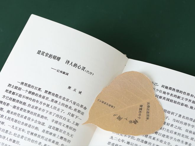365体育（bet）：坚毅女性力量清新细腻诗风宏伟建筑设计体认林徽因在历史中的悲欢(图5)