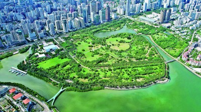 365体育（bet）：海口：湿地修复融入城市更新(图1)