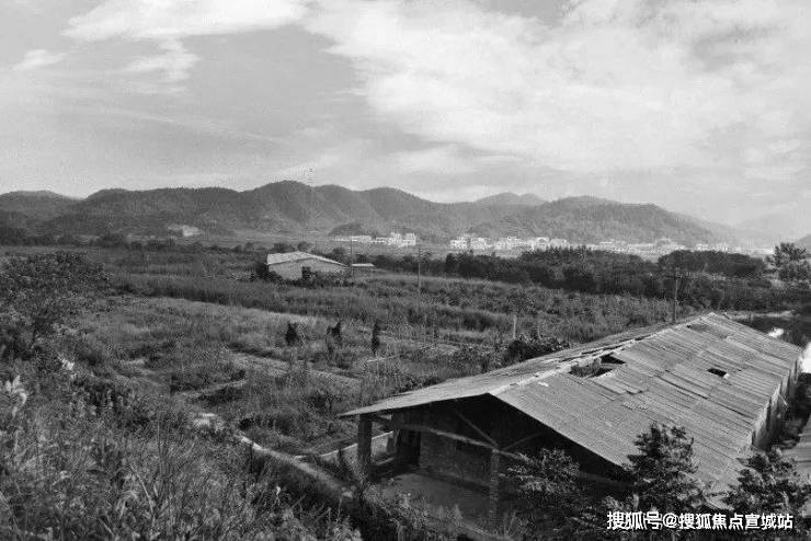 365体育唯一入口：嘉兴嘉善『金茂未来时光里』售楼处_2024年最新房价户型配套-小区规划(图4)