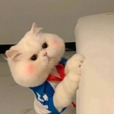 365体育（bet）：注册城乡规划师考试学习交流论坛(图14)