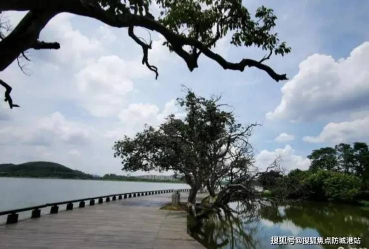 365体育唯一入口：2024最新『广州远洋风景』售楼处电话特惠房价表样板房户型图规划(图7)