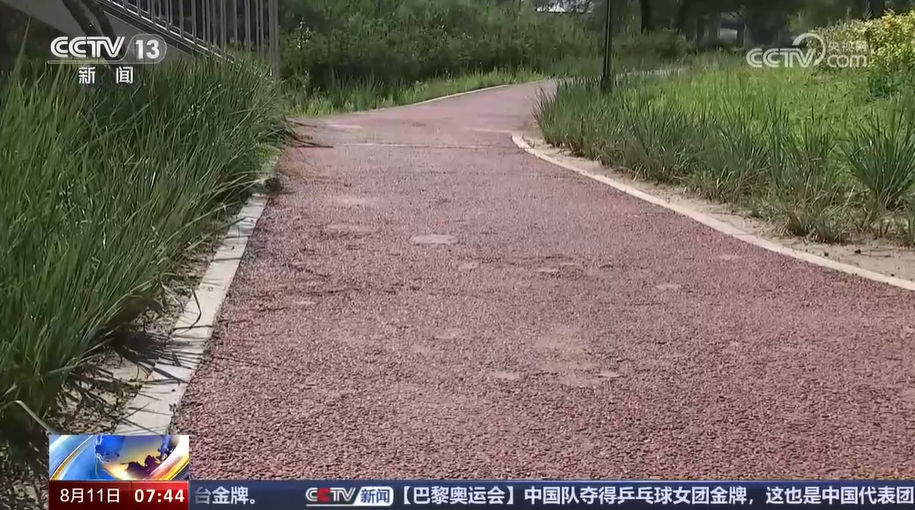 365体育（bet）：黑龙江大庆加强海绵城市建设减少城区内涝(图1)