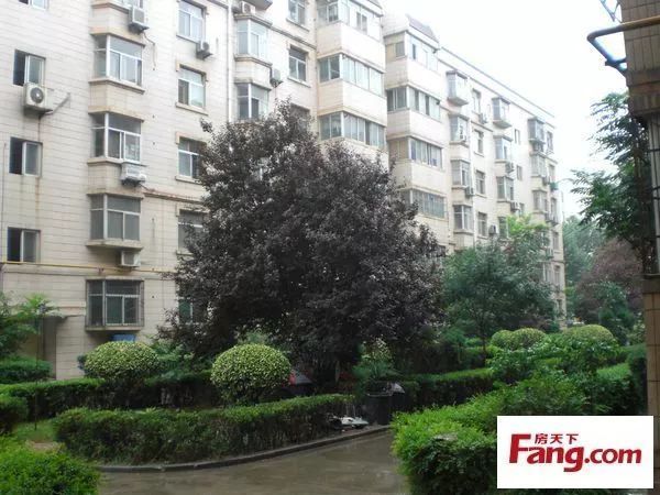 365体育（bet）：Hot文章值得看：住房城乡建设部：推动建立城市规划建设治理新机制(图3)