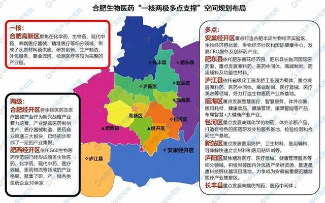 365体育（bet）：2024年合肥生物医药产业空间布局及产业规划(图1)