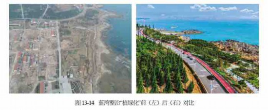 365体育（bet）：青岛项目入选全国2024年海洋生态保护修复典型案例(图2)