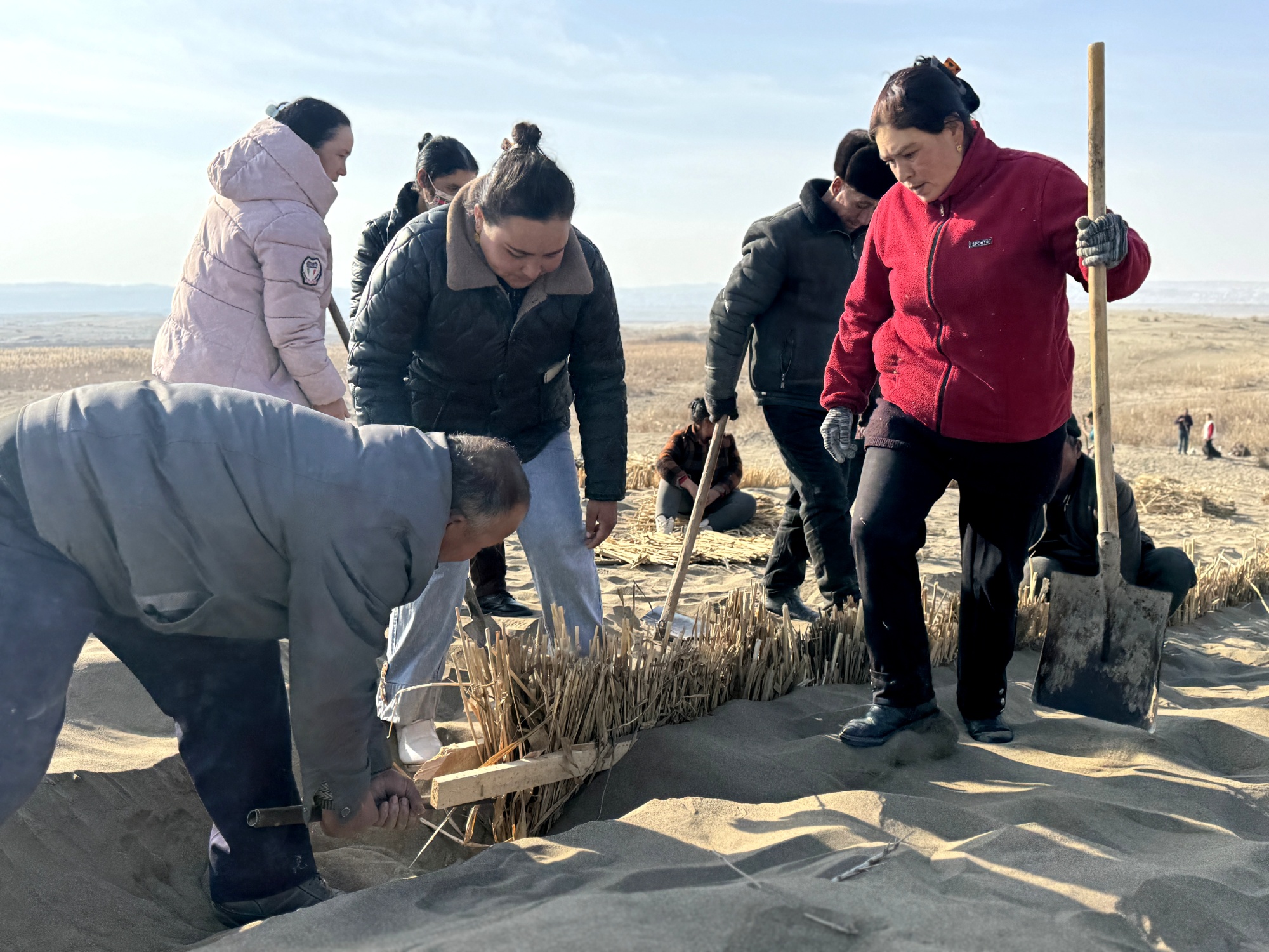 365体育（bet）：英吉沙县2024年沙化土地封禁保护项目草方格建设拉开序幕(图2)