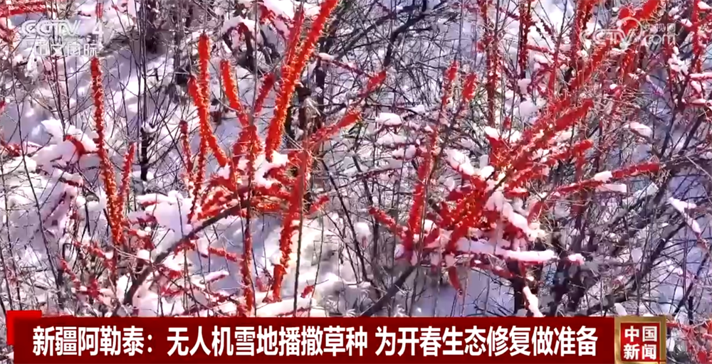365体育唯一入口：多地一批重大项目陆续启动重点工程建设迎来“开门红”(图6)