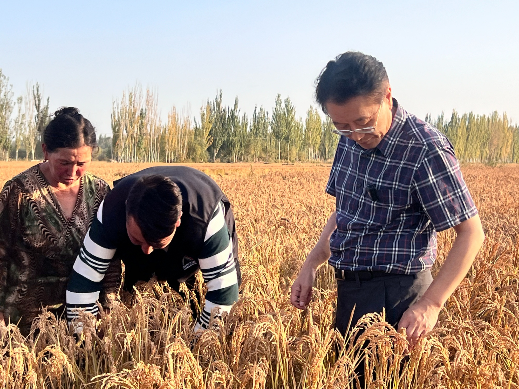 365体育唯一入口：高质量发展看中国｜“无农村城市”深圳交出的非典型农业发展答卷(图1)