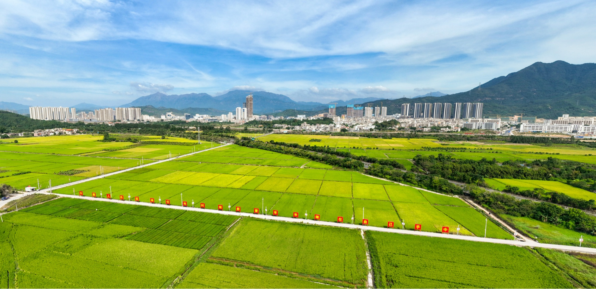 365体育唯一入口：高质量发展看中国｜“无农村城市”深圳交出的非典型农业发展答卷(图6)