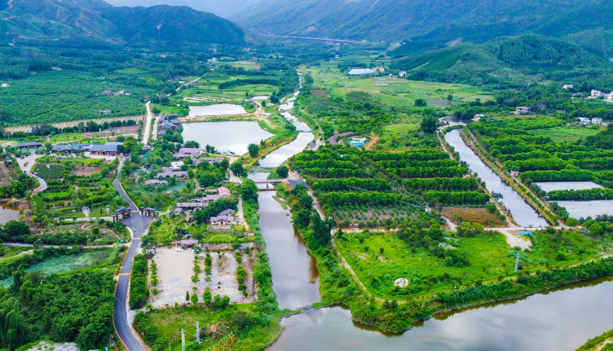 365体育唯一入口：高质量发展看中国｜“无农村城市”深圳交出的非典型农业发展答卷(图7)