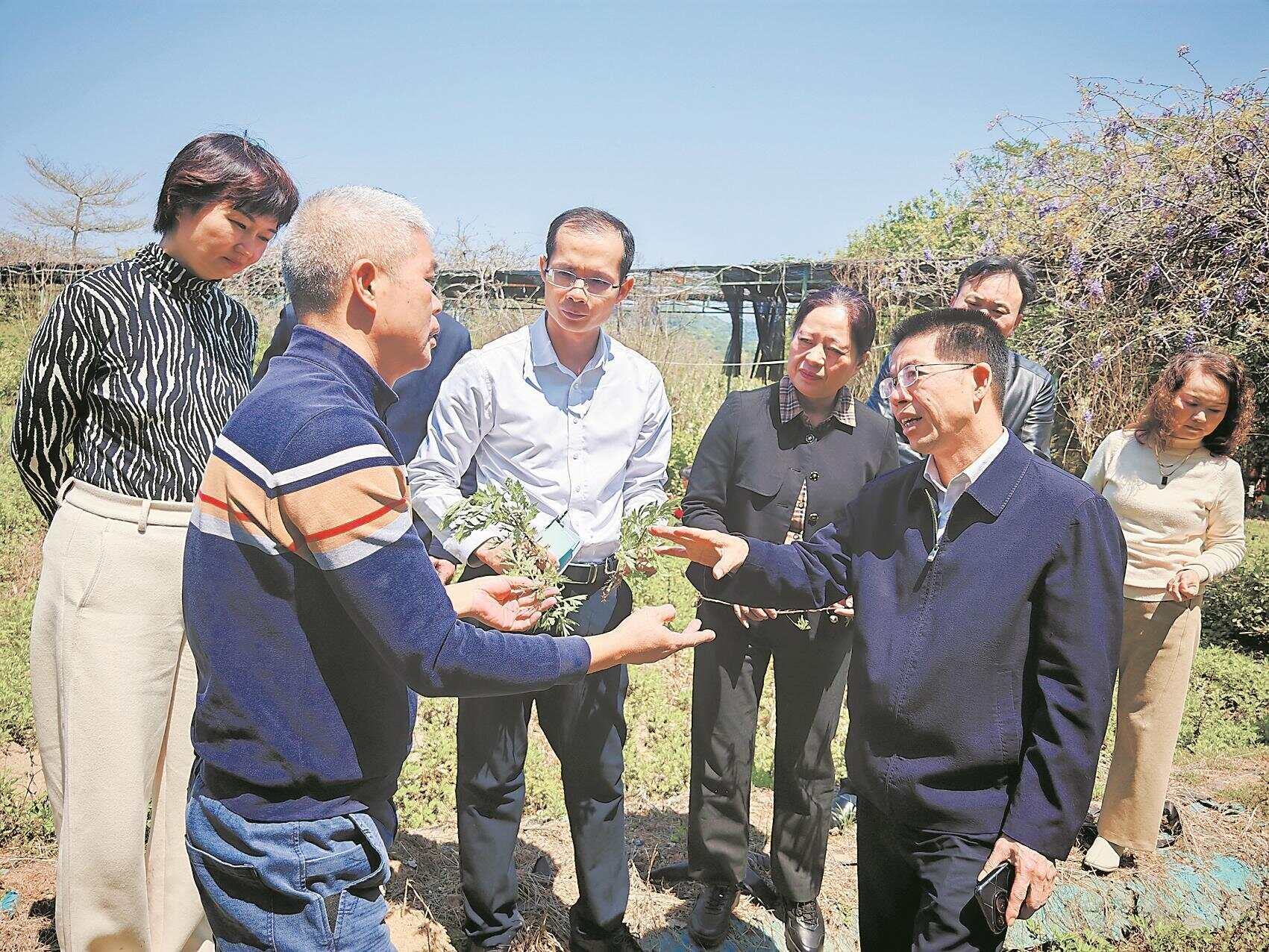 365体育（bet）：全省政协系统“一盘棋”奋力助推“百千万工程”(图1)