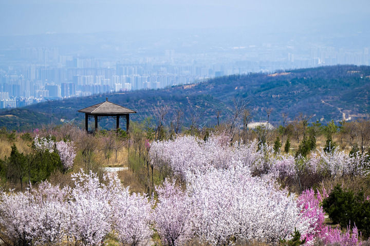 365体育（bet）：晋祠泉复流记(图7)