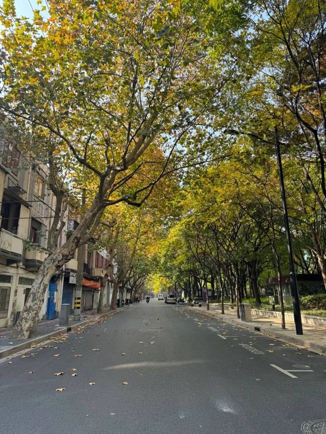 365体育唯一入口：万科高福里售楼处发布：@@@@万科高福里启幕上海人居新篇！(图10)