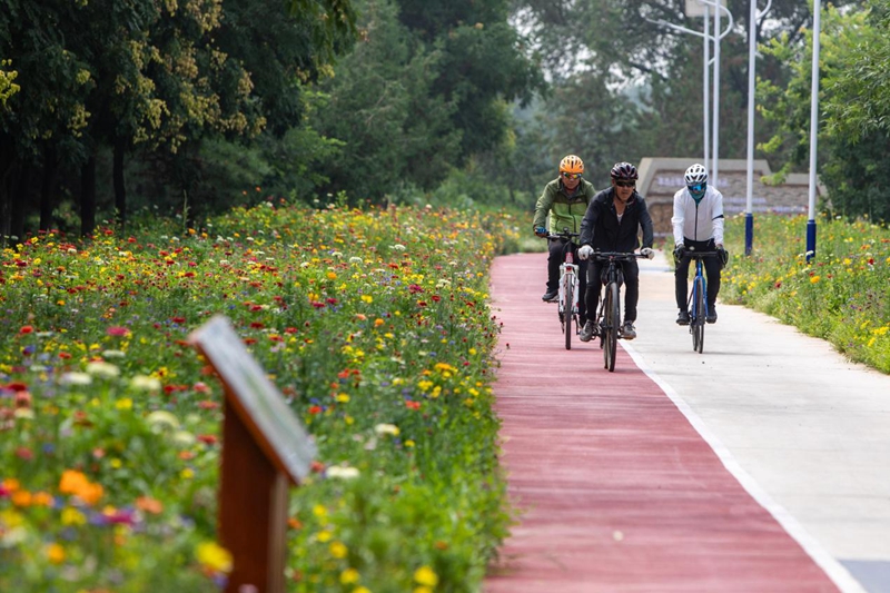 365体育（bet）：碧水蓝天倍儿“京”彩(图3)