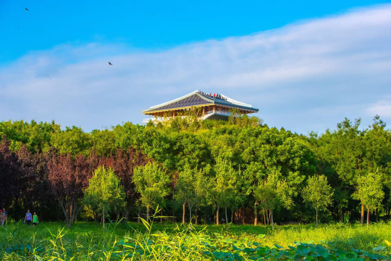 365体育（bet）：碧水蓝天倍儿“京”彩(图4)