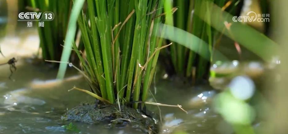 365体育（bet）：提高、提前！一组数据看“十四五”期间节水型社会建设“成绩单”(图7)