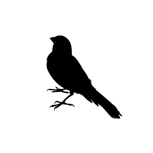 365体育唯一入口：高中生、生态学博士、建筑设计从业者他们为何选择为“撞玻璃的鸟”奔走？(图11)