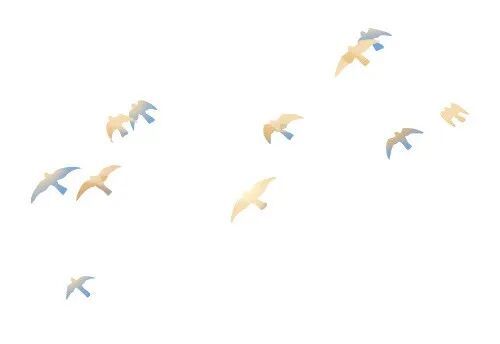 365体育唯一入口：高中生、生态学博士、建筑设计从业者他们为何选择为“撞玻璃的鸟”奔走？(图3)