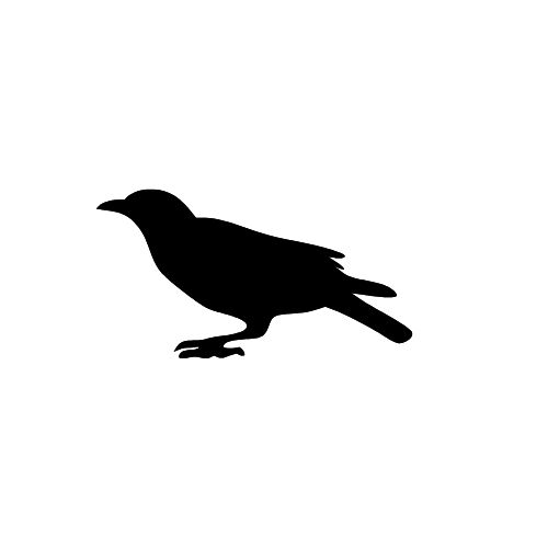 365体育唯一入口：高中生、生态学博士、建筑设计从业者他们为何选择为“撞玻璃的鸟”奔走？(图7)