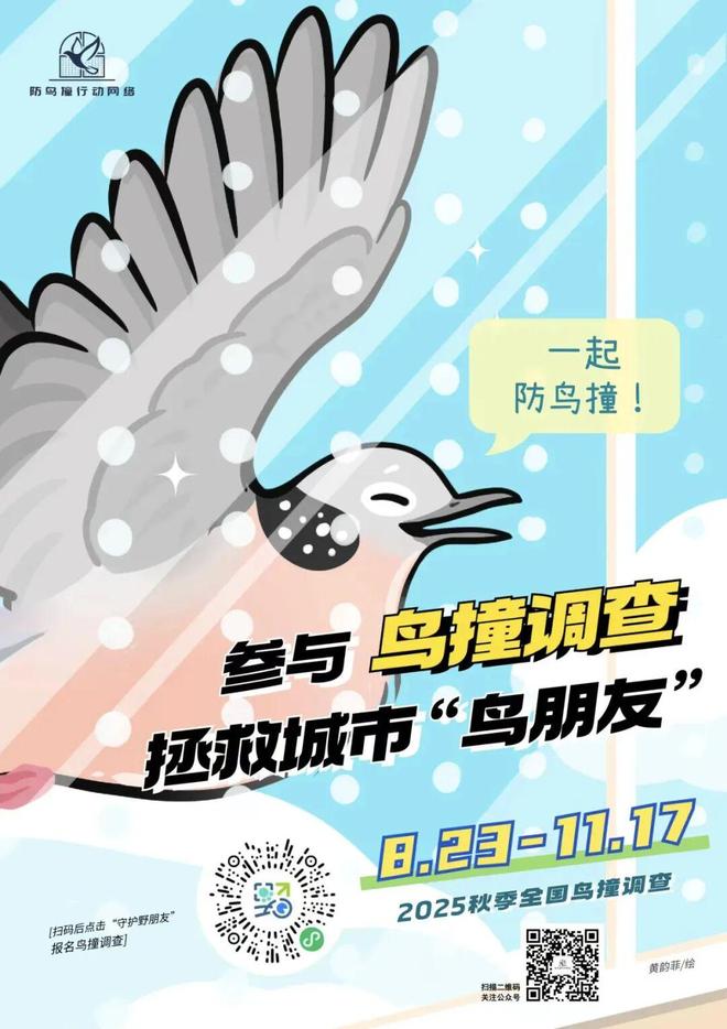 365体育唯一入口：高中生、生态学博士、建筑设计从业者他们为何选择为“撞玻璃的鸟”奔走？(图4)