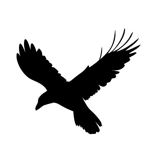 365体育唯一入口：高中生、生态学博士、建筑设计从业者他们为何选择为“撞玻璃的鸟”奔走？(图6)