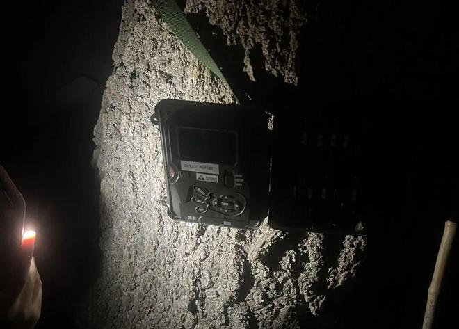 365体育唯一入口：高中生、生态学博士、建筑设计从业者他们为何选择为“撞玻璃的鸟”奔走？(图9)