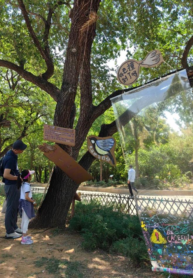 365体育唯一入口：高中生、生态学博士、建筑设计从业者他们为何选择为“撞玻璃的鸟”奔走？(图10)