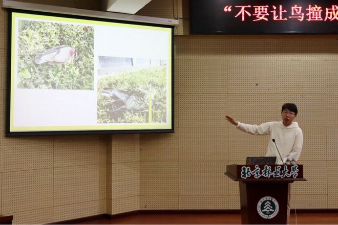 365体育唯一入口：高中生、生态学博士、建筑设计从业者他们为何选择为“撞玻璃的鸟”奔走？(图8)