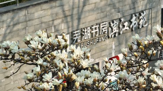 365体育(bet):城市更新芜湖大有作为!(图8)