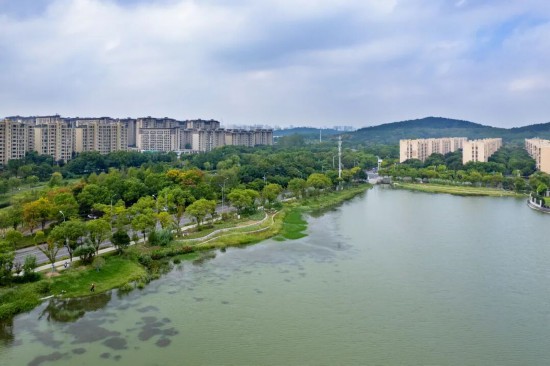 365体育(bet):城市更新芜湖大有作为!(图20)