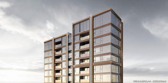 365体育（bet）：华润中环置地中心望云官宣：开启高端居家之旅定义奢居新范式(图9)