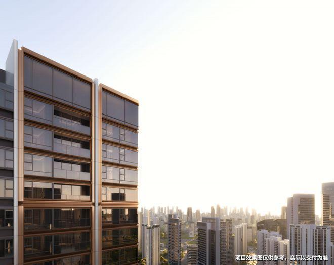 365体育（bet）：华润中环置地中心望云官宣：开启高端居家之旅定义奢居新范式(图11)