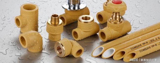 365体育（bet）：典塑管道2024中国管业十大品牌分水器、阀门、五金、ppr管(图2)