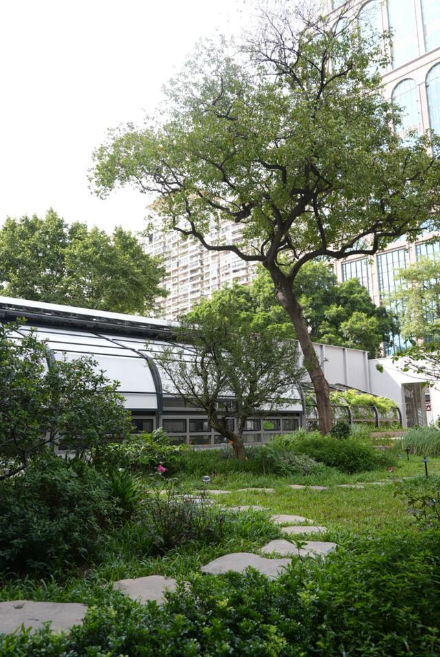 365体育唯一入口：广州“初代古风游园地”升级后重开可以看“001号”广州历史建筑(图2)