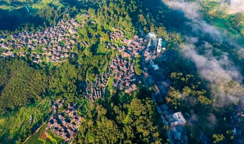 365体育(bet):黔东南:规划先行“一张蓝图”锚定目标奋勇前进(图2)