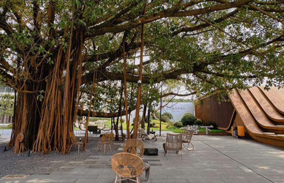 365体育(bet):联投·文津府聚焦@售楼处发布:联投文津府以品质铸就传奇!(图8)