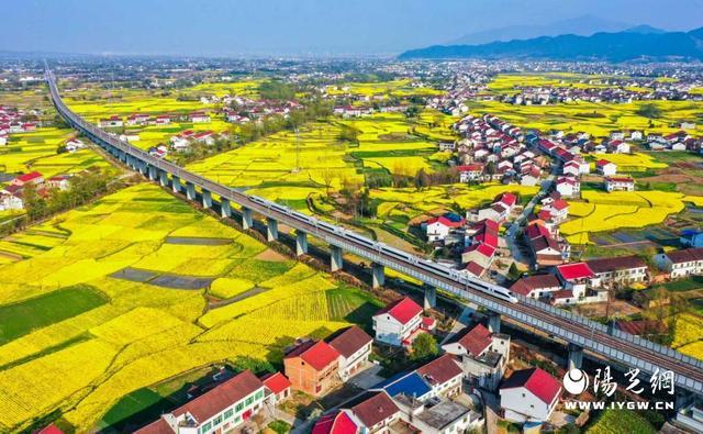 365体育（bet）：汉中市高质量完成“十四五”规划谱写现代化城市建设新篇章(图2)