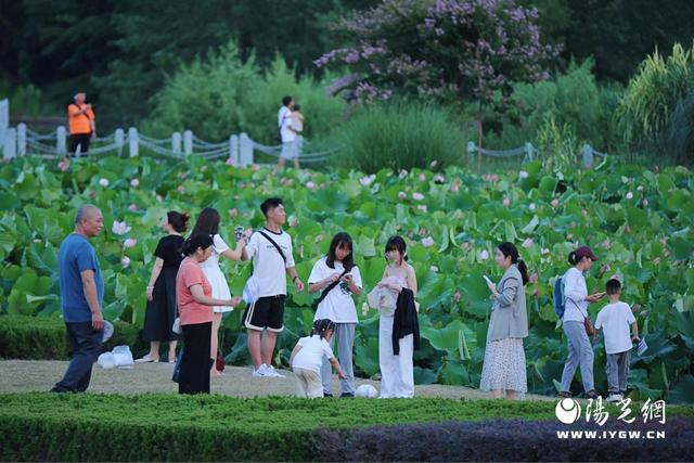 365体育（bet）：汉中市高质量完成“十四五”规划谱写现代化城市建设新篇章(图4)