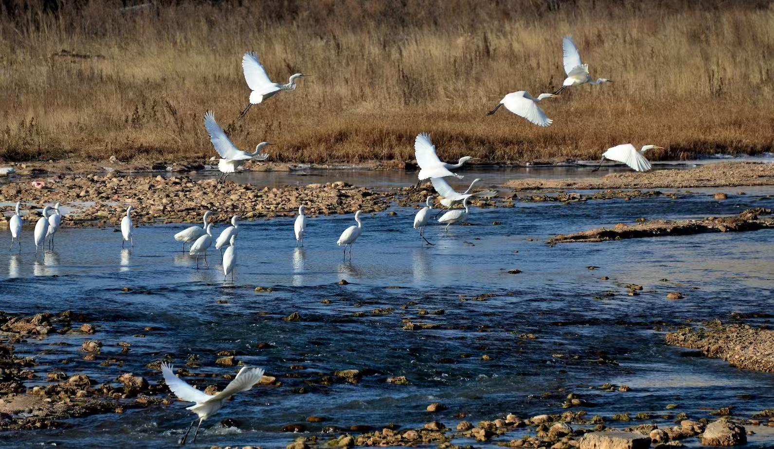 365体育(bet):山河为砚绘青绿——2025年甘肃平凉崆峒区生态文明建设综述(图1)