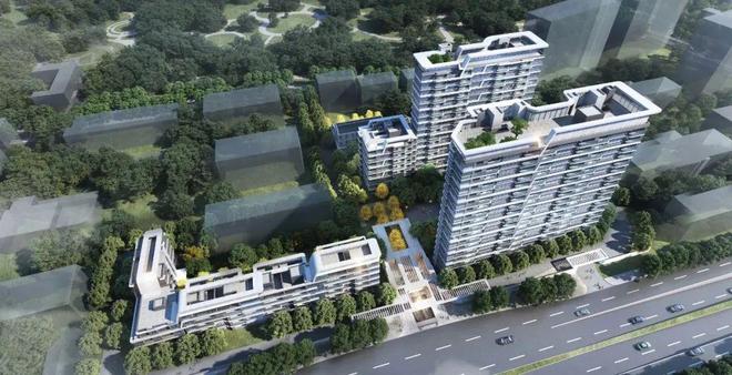 365体育唯一入口：2025年领翠滨江网站新盘详情户型配套(图12)