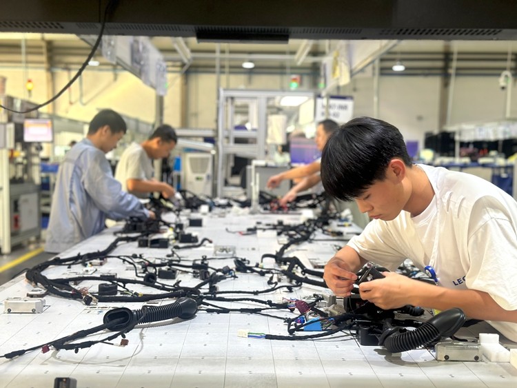 365体育唯一入口：跨省通勤迈入“分钟级”！通北示范区建设从“蓝图”到“实景”(图3)