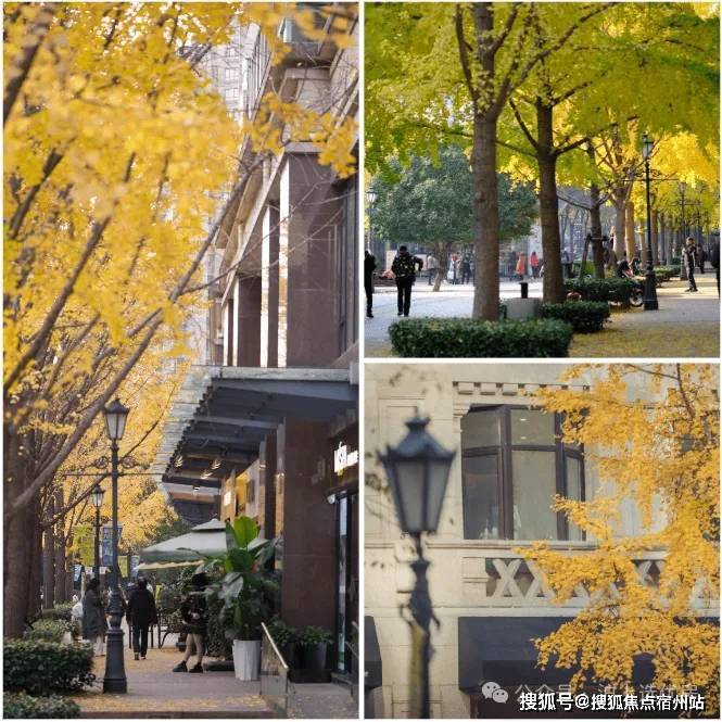 365体育唯一入口：2026年古北99(售楼处)首页-古北99销售中心-环境-户型-价格-地址-楼盘详情-配套-电话-交房时间-配套-电话-交房时间(图12)