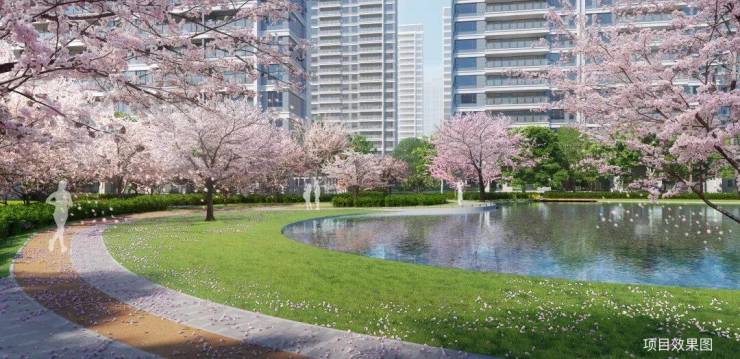 365体育（bet）：2024最新!高铁新城和风雅信和风雅信日系精工豪宅户型交通配套价格全解析(图6)