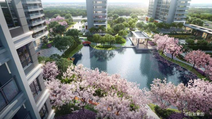 365体育（bet）：2024最新!高铁新城和风雅信和风雅信日系精工豪宅户型交通配套价格全解析(图5)