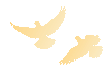 365体育（bet）：全国人大代表张谨：以城市更新为笔持续书写民生幸福新答卷(图3)