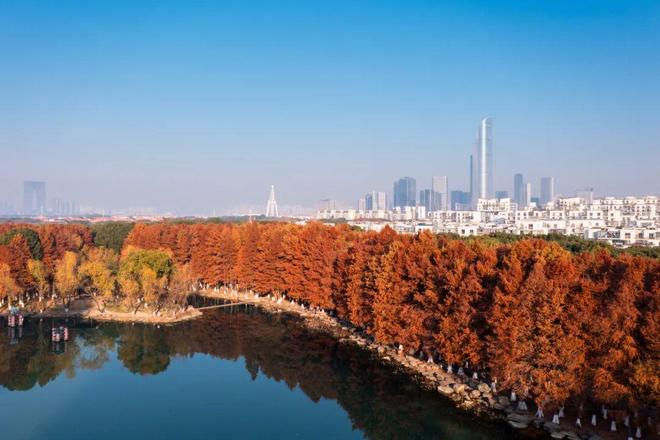 365体育（bet）：全国人大代表张谨：以城市更新为笔持续书写民生幸福新答卷(图4)