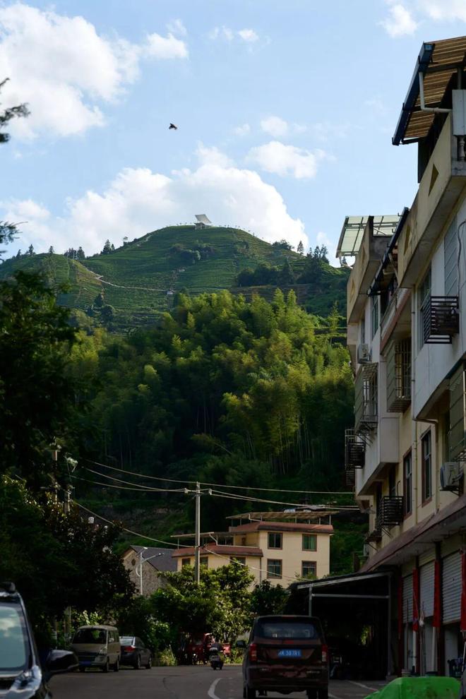 365体育唯一入口：衍述设计新作｜茶山之上的浮亭光影与时间的对话(图4)